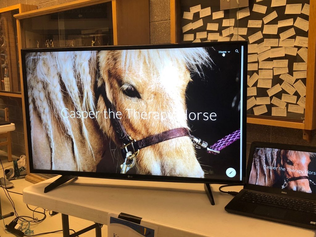 photo of a horse on a computer screen